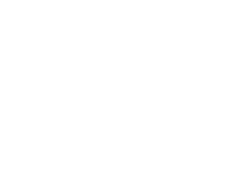 Vegas RE Logo